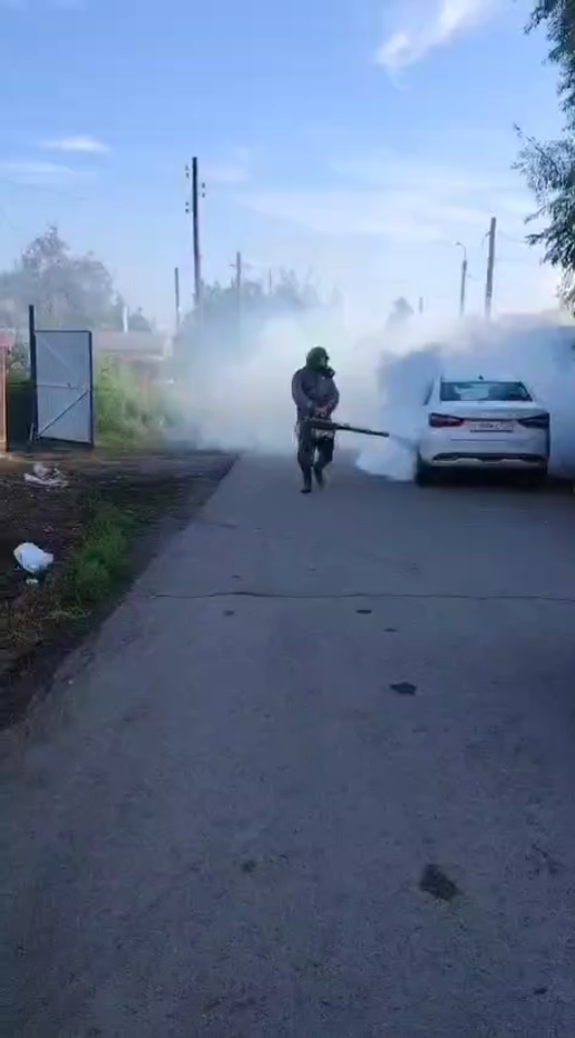 Гнездо тараканов видео